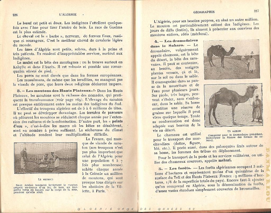 ALGERIE COURS HISTOIRE COLONISATION GEOGRAPHIE ADMINISTRATION  (117).jpg